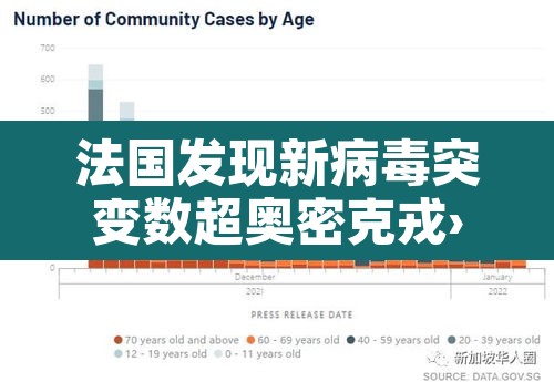 法国发现新病毒突变数超奥密克戎›法国的新冠病毒变异成了啥样 法国发现新病毒突变数超奥密克戎›法国的新冠病毒变异成了啥样