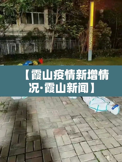 【霞山疫情新增情况·霞山新闻】