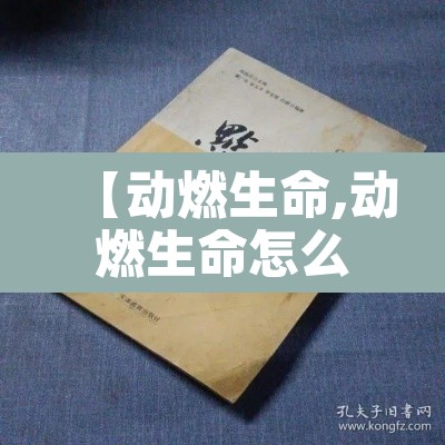【动燃生命,动燃生命怎么刷多】 【动燃生命,动燃生命怎么刷多】