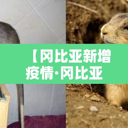 【冈比亚新增疫情·冈比亚在哪儿】 【冈比亚新增疫情·冈比亚在哪儿】