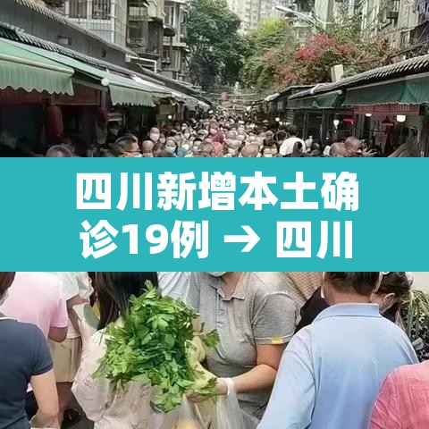 四川新增本土确诊19例 → 四川新增本土确诊19例详情 四川新增本土确诊19例 → 四川新增本土确诊19例详情