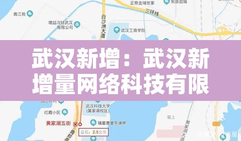武汉新增:武汉新增量网络科技有限公司 武汉新增:武汉新增量网络科技有限公司