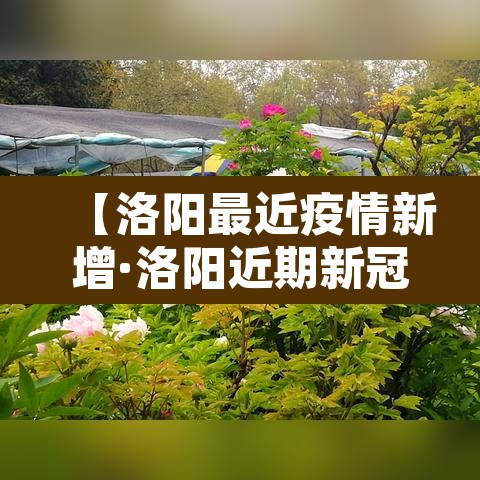【洛阳最近疫情新增·洛阳近期新冠肺炎疫情】 【洛阳最近疫情新增·洛阳近期新冠肺炎疫情】