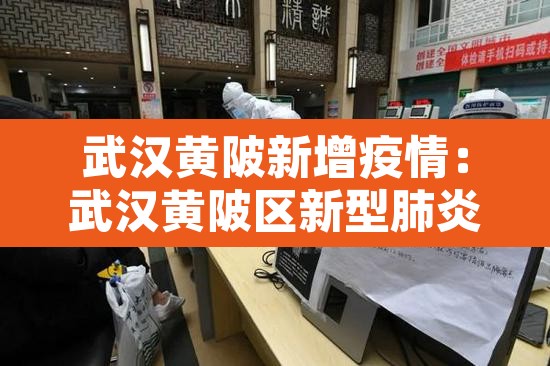武汉黄陂新增疫情:武汉黄陂区新型肺炎疫情 武汉黄陂新增疫情:武汉黄陂区新型肺炎疫情