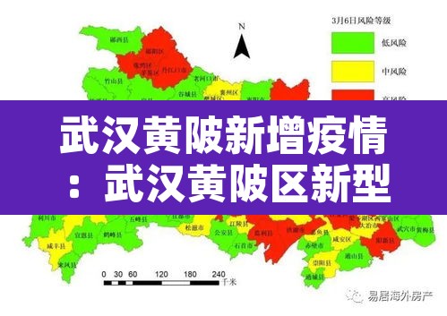武汉黄陂新增疫情:武汉黄陂区新型肺炎疫情