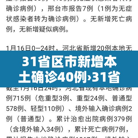 31省区市新增本土确诊40例›31省区市新增本土确诊1
