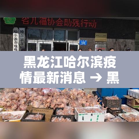 黑龙江哈尔滨疫情最新消息 → 黑龙江疫情最新消息今天哈尔滨 黑龙江哈尔滨疫情最新消息 → 黑龙江疫情最新消息今天哈尔滨