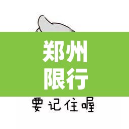 郑州限行日几点可以通行：郑州限行日几点可以通行啊