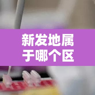 新发地属于哪个区:新发地归哪个区 新发地属于哪个区:新发地归哪个区