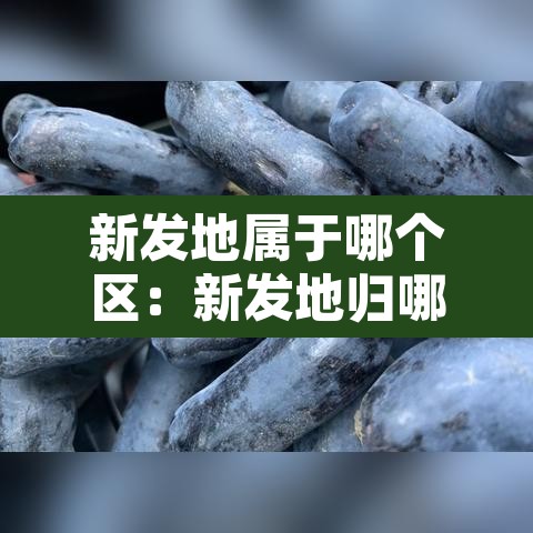 新发地属于哪个区:新发地归哪个区