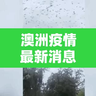 澳洲疫情最新消息›澳洲疫情最新情况及分布 澳洲疫情最新消息›澳洲疫情最新情况及分布