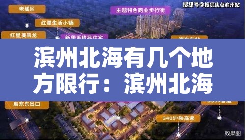 滨州北海有几个地方限行：滨州北海新区是停建了吗