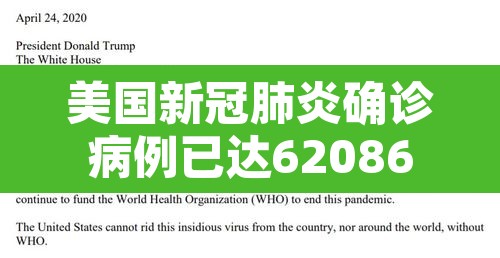 美国新冠肺炎确诊病例已达62086例›美国新冠肺炎确诊病例超3767万