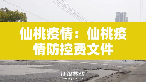 仙桃疫情:仙桃疫情防控费文件 仙桃疫情:仙桃疫情防控费文件