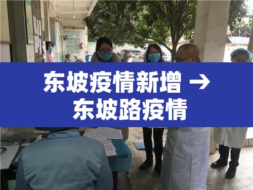 东坡疫情新增 → 东坡路疫情 东坡疫情新增 → 东坡路疫情