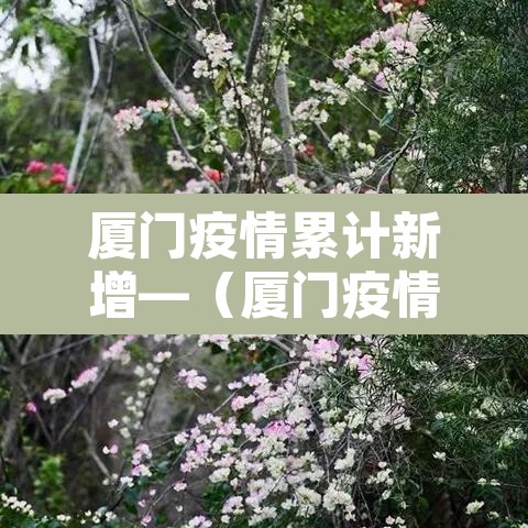 厦门疫情累计新增—(厦门疫情累计新增人数) 厦门疫情累计新增—(厦门疫情累计新增人数)