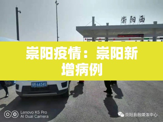 崇阳疫情:崇阳新增病例