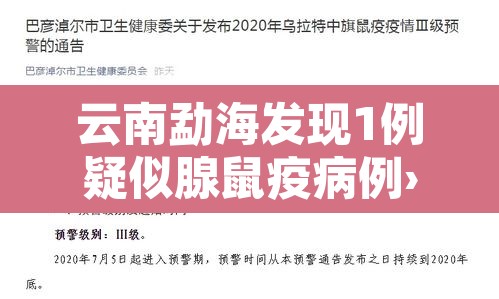 云南勐海发现1例疑似腺鼠疫病例›云南勐腊境外输入确诊几例