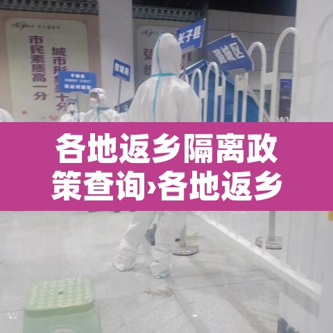 各地返乡隔离政策查询›各地返乡隔离政策查询入口