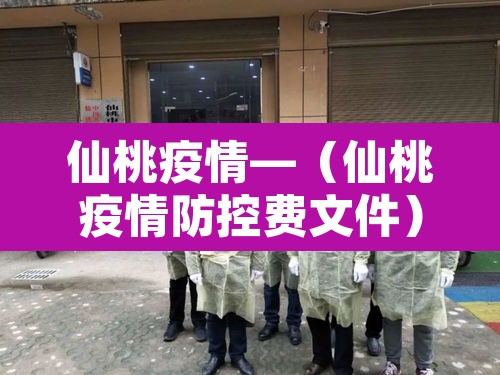 仙桃疫情—(仙桃疫情防控费文件)
