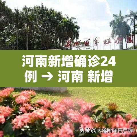 河南新增确诊24例 → 河南 新增确诊