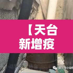 【天台新增疫情病例·天台新冠肺炎最新消息】