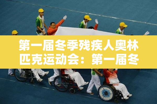 第一届冬季残疾人奥林匹克运动会:第一届冬季残疾人奥林匹克运动会时间 第一届冬季残疾人奥林匹克运动会:第一届冬季残疾人奥林匹克运动会时间