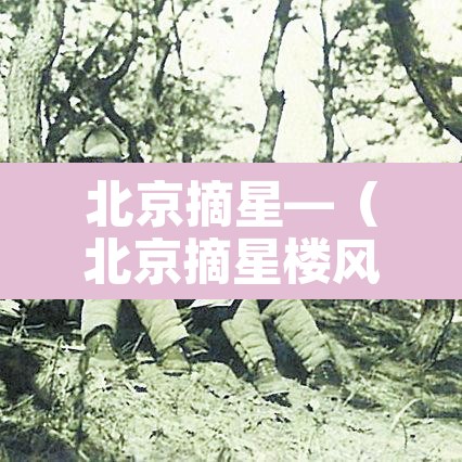 北京摘星—(北京摘星楼风景区在哪里)