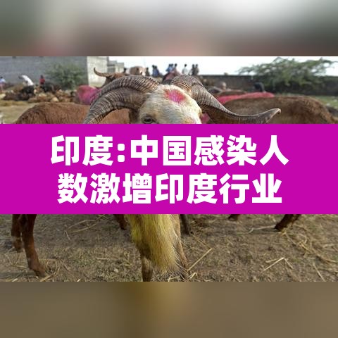 印度:中国感染人数激增印度行业谨慎应对 → 印度感染比例 印度:中国感染人数激增印度行业谨慎应对 → 印度感染比例