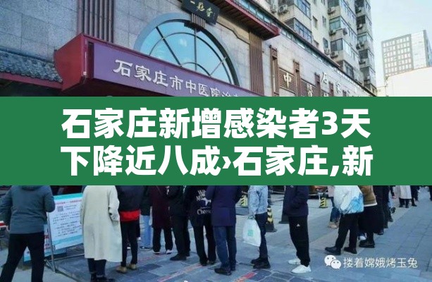 石家庄新增感染者3天下降近八成›石家庄,新增 石家庄新增感染者3天下降近八成›石家庄,新增