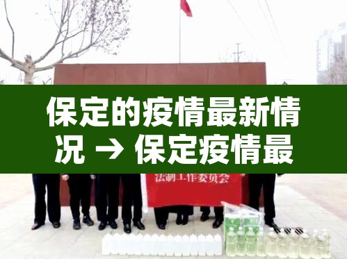 保定的疫情最新情况 → 保定疫情最新数据