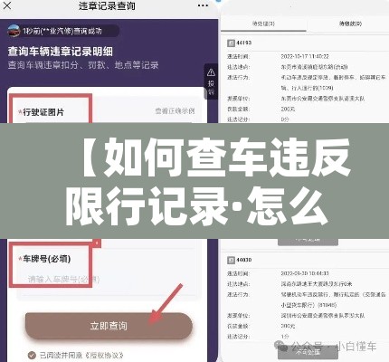 【如何查车违反限行记录·怎么查汽车限号违章】