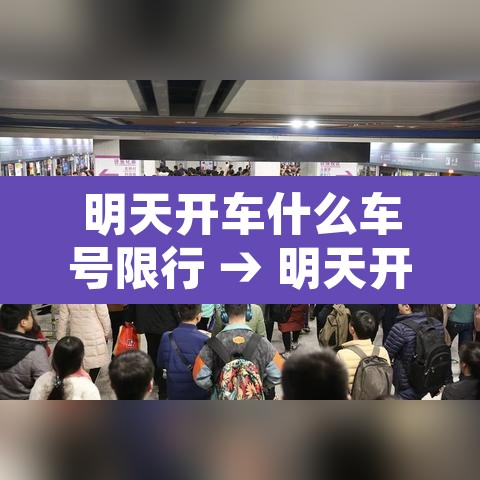 明天开车什么车号限行 → 明天开始车牌限号号码是多少 明天开车什么车号限行 → 明天开始车牌限号号码是多少