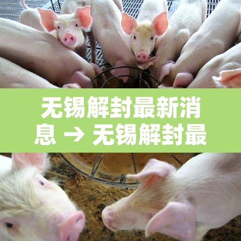 无锡解封最新消息 → 无锡解封最新消息今天 无锡解封最新消息 → 无锡解封最新消息今天