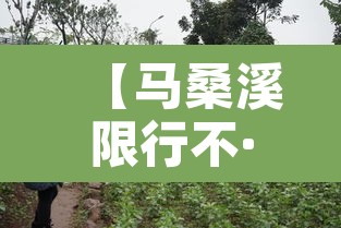 【马桑溪限行不·马桑溪古镇好停车吗】 【马桑溪限行不·马桑溪古镇好停车吗】