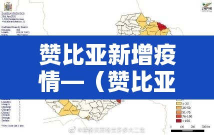 赞比亚新增疫情—(赞比亚疫情动态) 赞比亚新增疫情—(赞比亚疫情动态)