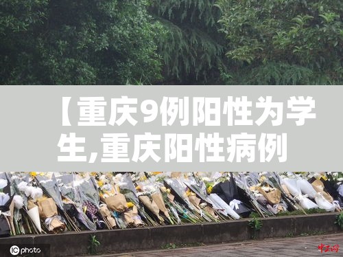 【重庆9例阳性为学生,重庆阳性病例】