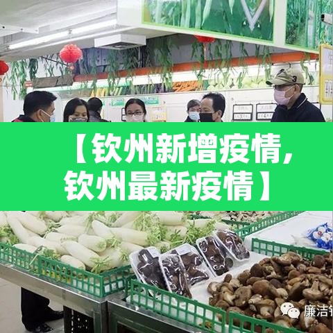 【钦州新增疫情,钦州最新疫情】 【钦州新增疫情,钦州最新疫情】