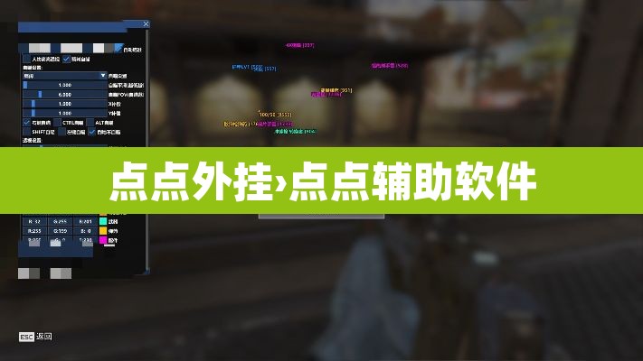 点点外挂›点点辅助软件