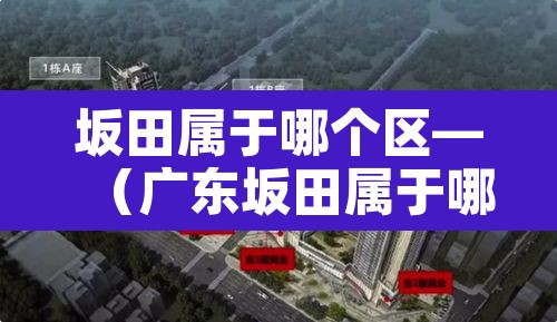 坂田属于哪个区—(广东坂田属于哪个区) 坂田属于哪个区—(广东坂田属于哪个区)
