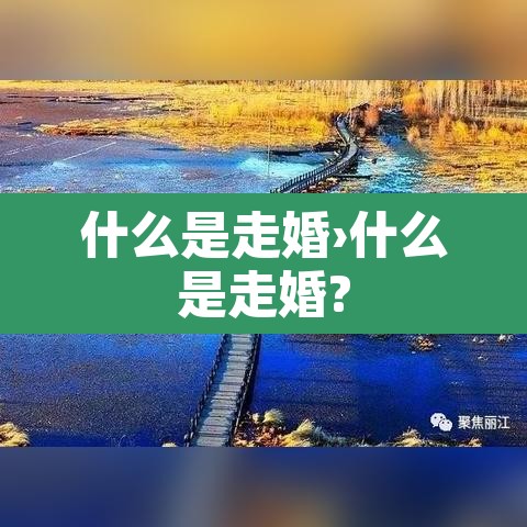 什么是走婚›什么是走婚?