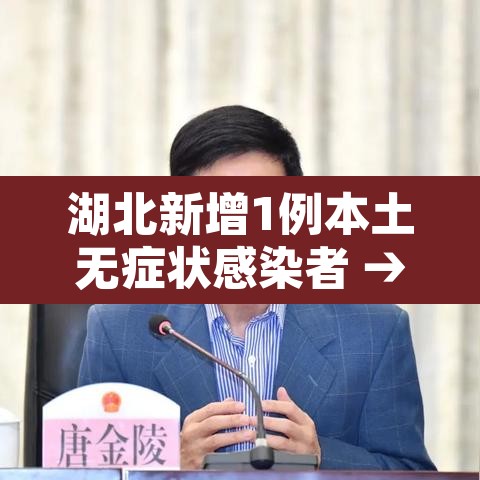 湖北新增1例本土无症状感染者 → 湖北新增确诊1例无症状 湖北新增1例本土无症状感染者 → 湖北新增确诊1例无症状