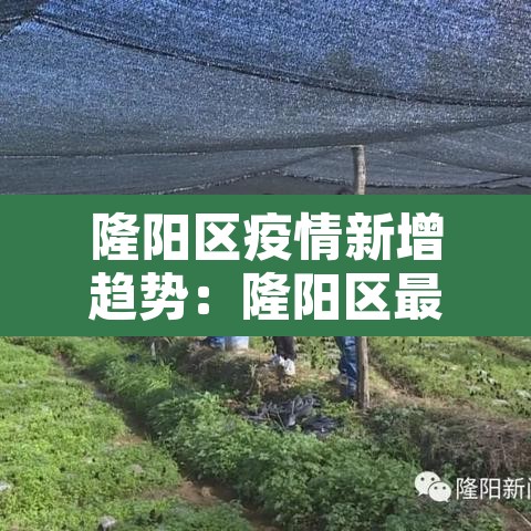 隆阳区疫情新增趋势:隆阳区最新疫情