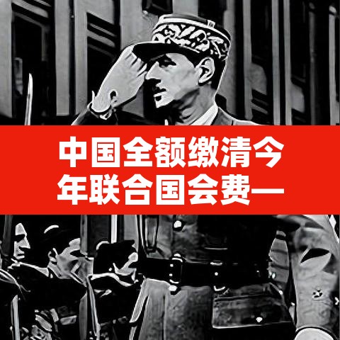 中国全额缴清今年联合国会费—(中国缴纳联合国会费,承担额位列世界第)