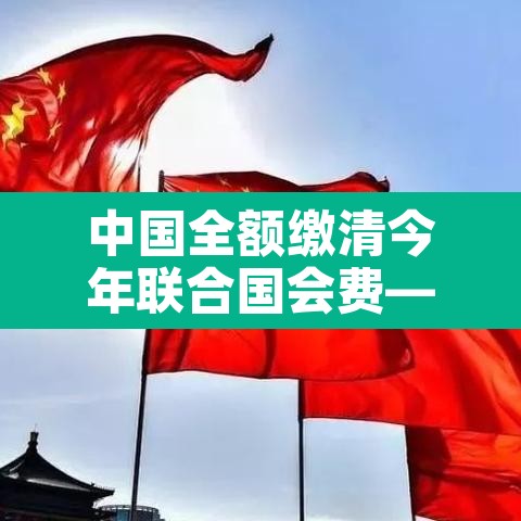 中国全额缴清今年联合国会费—(中国缴纳联合国会费,承担额位列世界第) 中国全额缴清今年联合国会费—(中国缴纳联合国会费,承担额位列世界第)