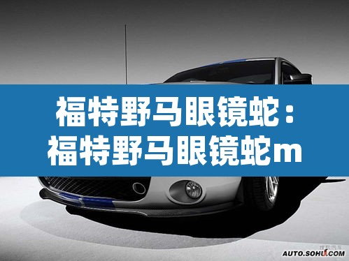福特野马眼镜蛇：福特野马眼镜蛇mustang gt 500