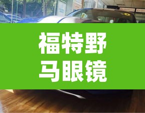 福特野马眼镜蛇：福特野马眼镜蛇mustang gt 500