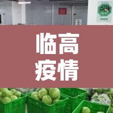临高疫情新增总数—（临高最新疫情）