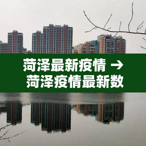 菏泽最新疫情 → 菏泽疫情最新数据 菏泽最新疫情 → 菏泽疫情最新数据