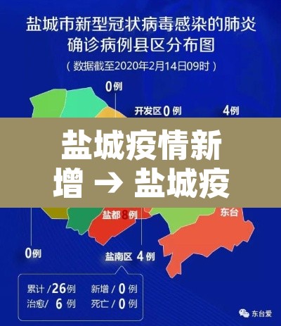 盐城疫情新增 → 盐城疫情新增病例